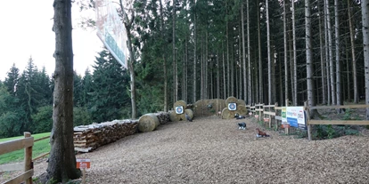 3D Parcour Bogensport - Grensberg - Bogen Parcours Windhaag b. Fr.