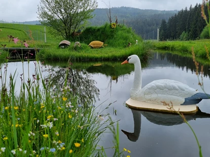 3D Parcour Bogensport - Grensberg - Stoneface Archery
