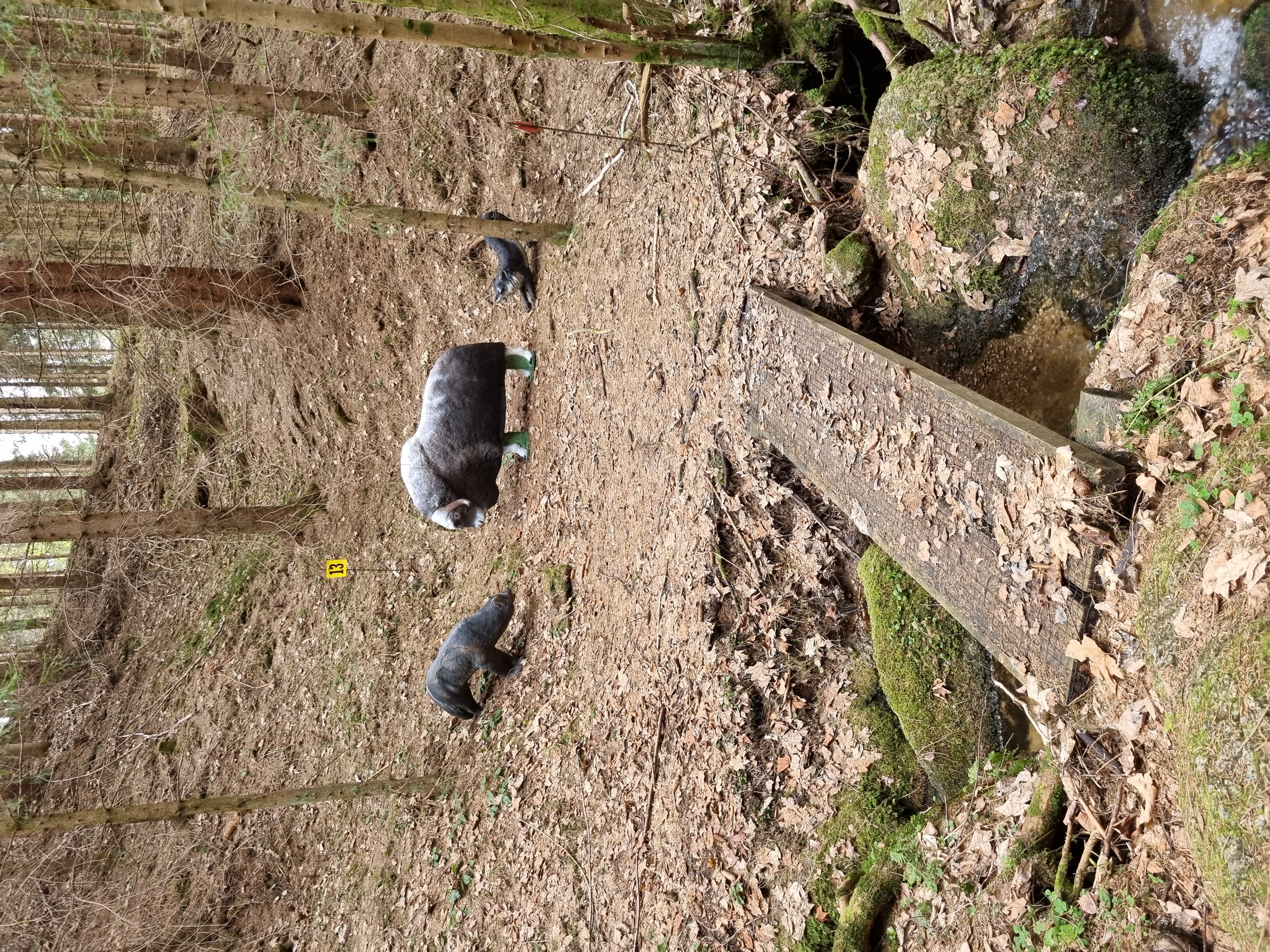 3D Parcour Bogenschießen: Stoneface Archery