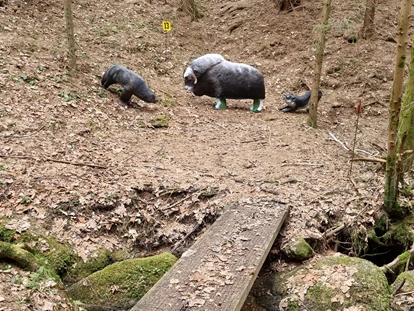3D Parcour Bogensport - Grensberg - Stoneface Archery