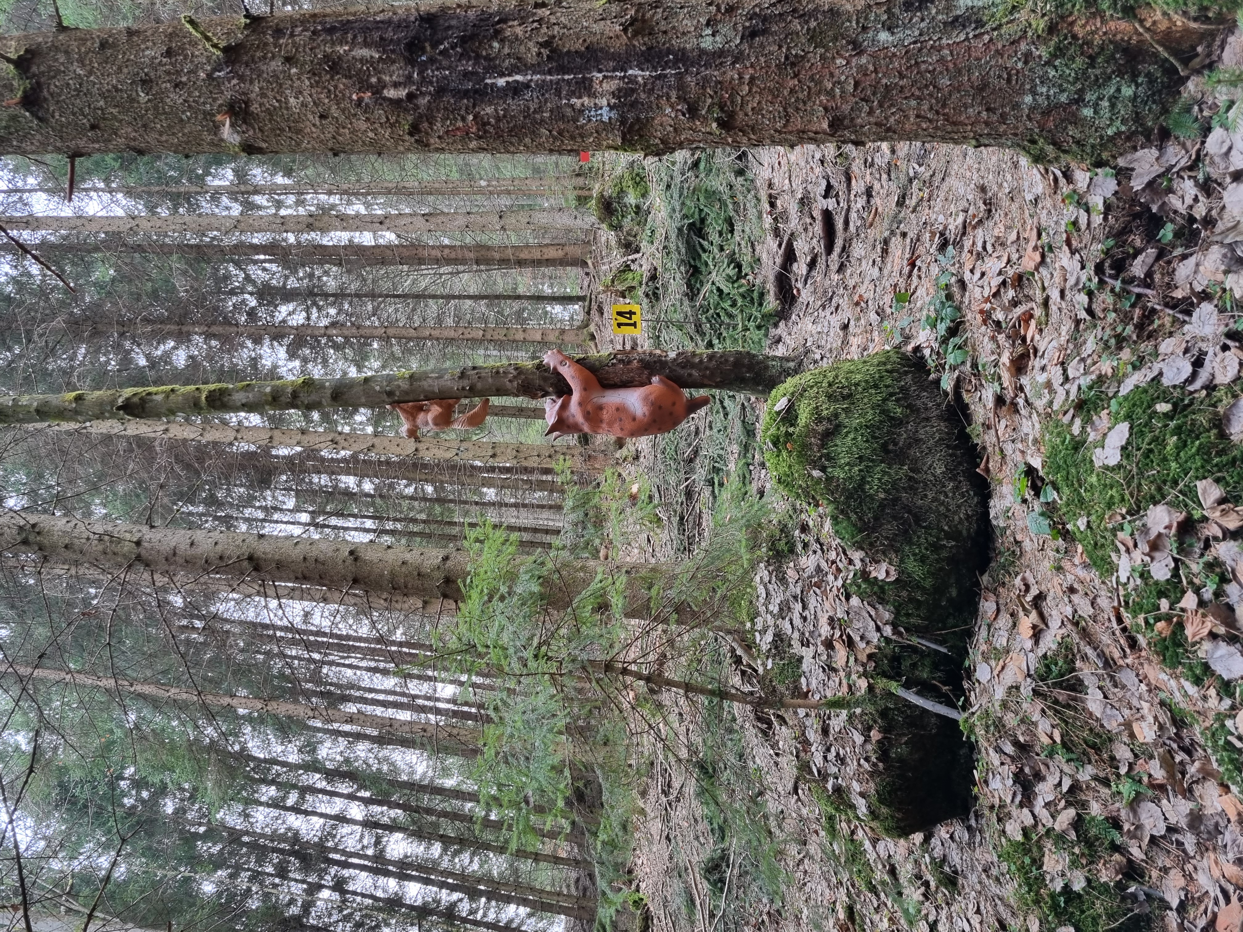 3D Parcour Bogenschießen: Stoneface Archery