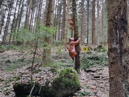 3D Parcour Bogensport - Grensberg - Stoneface Archery