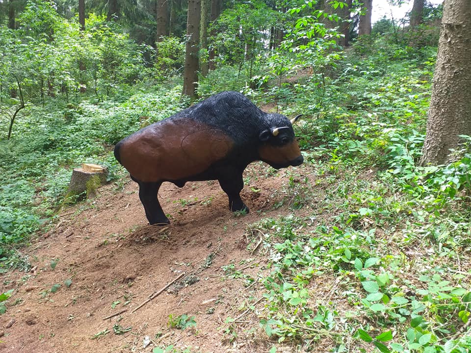 3D archery course - Mühlviertel - BSV Mönchdorf