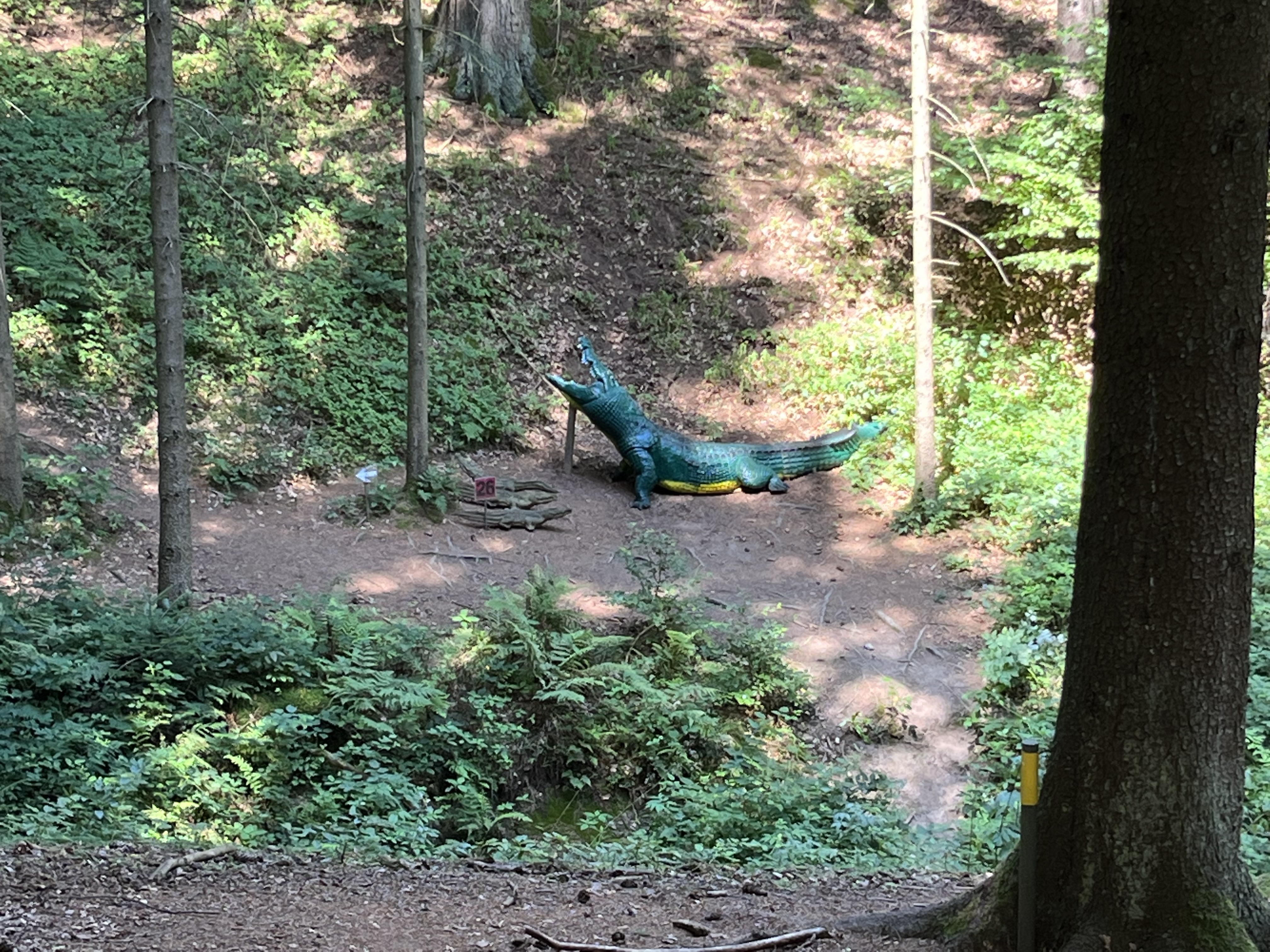 3D Parcour Bogensport - Bogenhalle - Bogensport Bad Zell