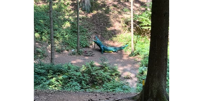 3D Parcour Bogensport - Marchtrenk - Bogensport Bad Zell