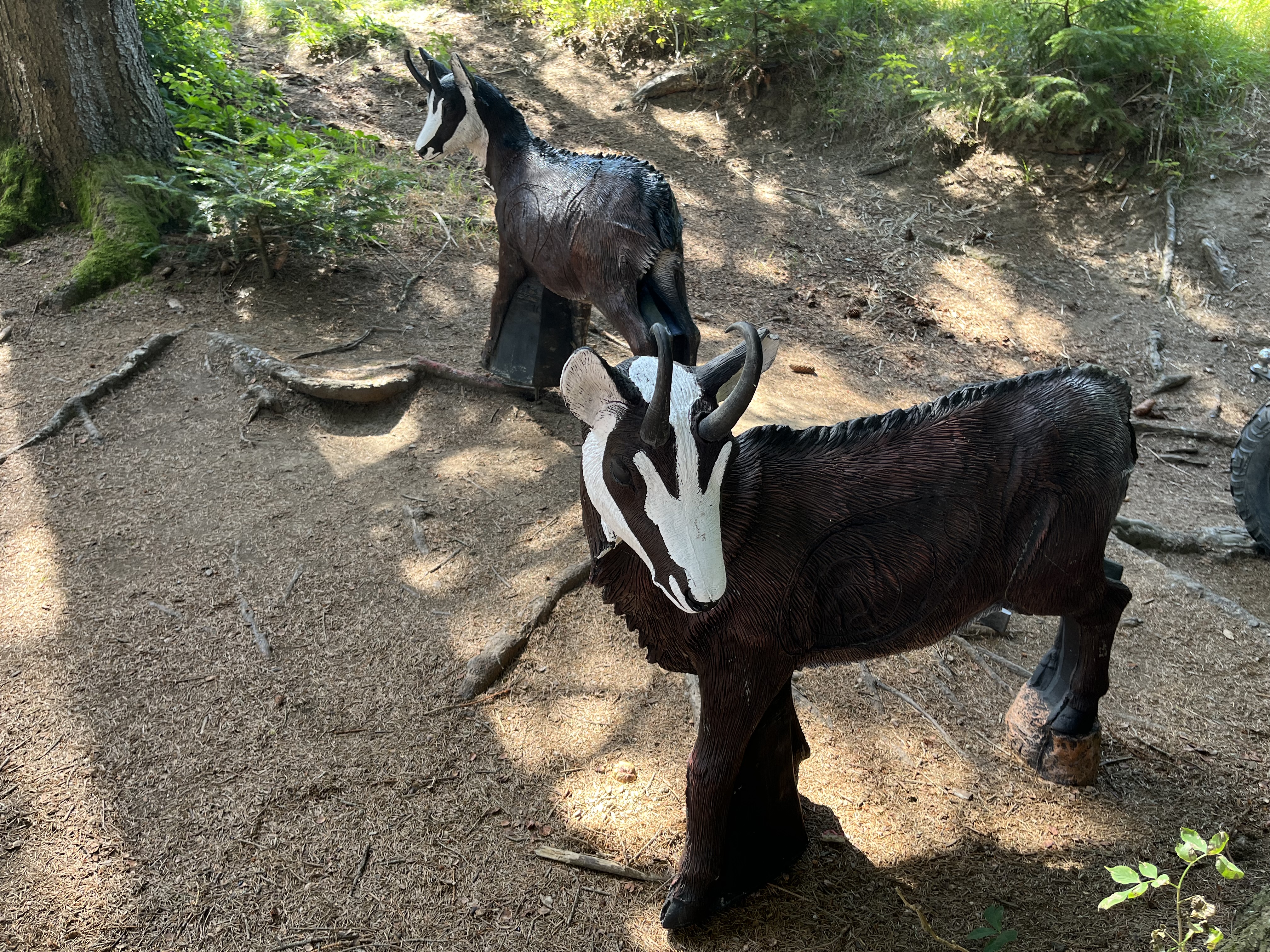 3D Parcour Bogenschießen: Bogensport Bad Zell