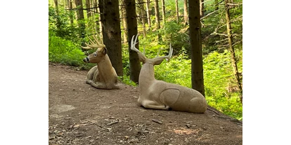 3D Parcour Bogensport - Marchtrenk - Bogensport Bad Zell