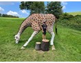 3D - Parcour: Giraffe lebensgroß  - Bogensport Bad Zell