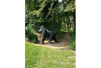 3D - Parcour: Riesen Gorilla - Bogensport Bad Zell