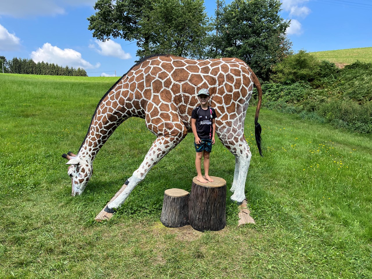 Bogensport Bad Zell Unterschiedliche Parcours Giraffe