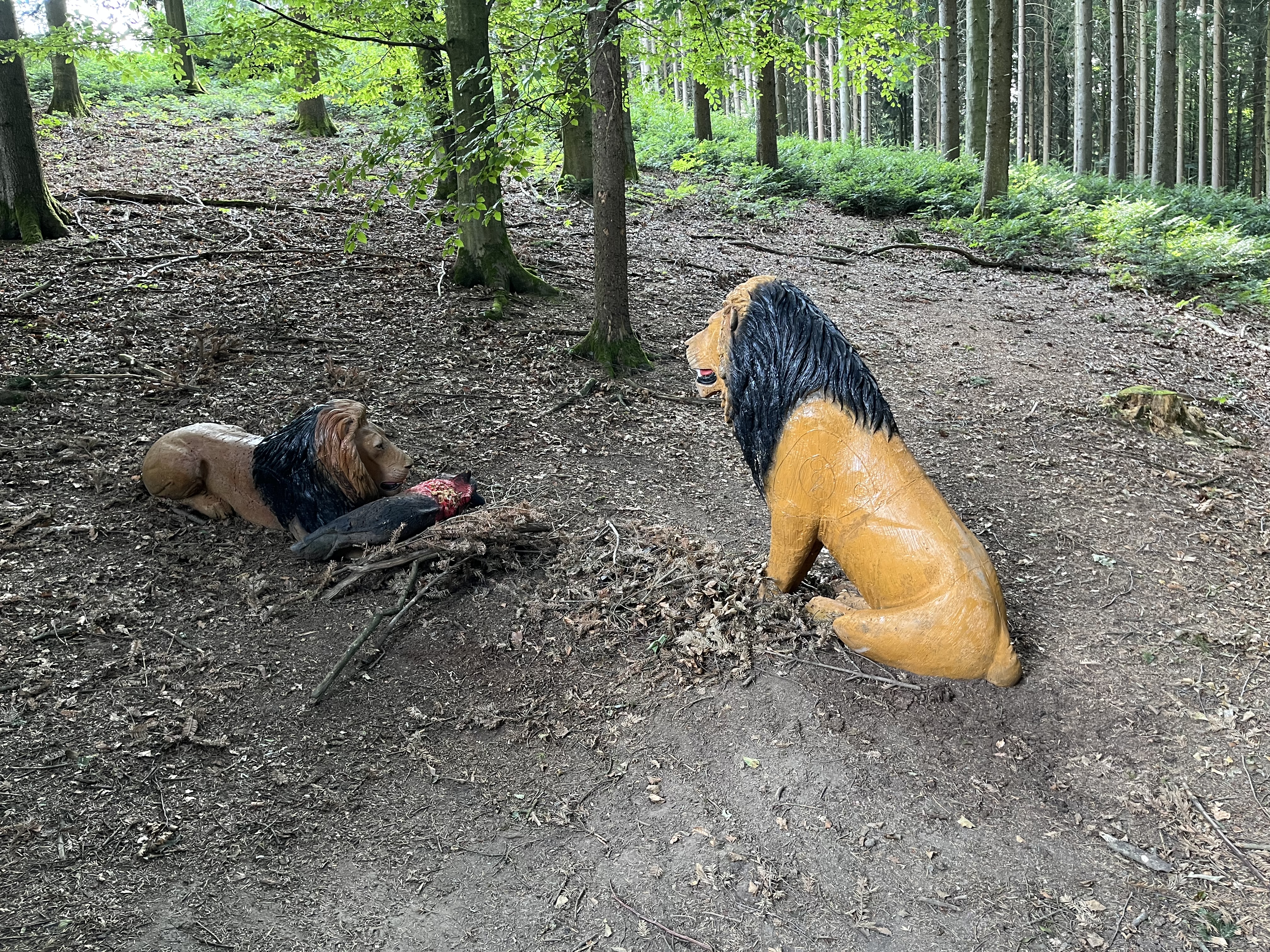 Bogensport Bad Zell Unterschiedliche Parcours 