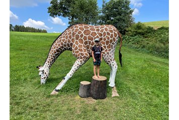 Parcours: Giraffe lebensgroß  - Bogensport Bad Zell