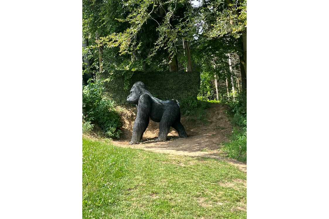 Parcours: Riesen Gorilla - Bogensport Bad Zell