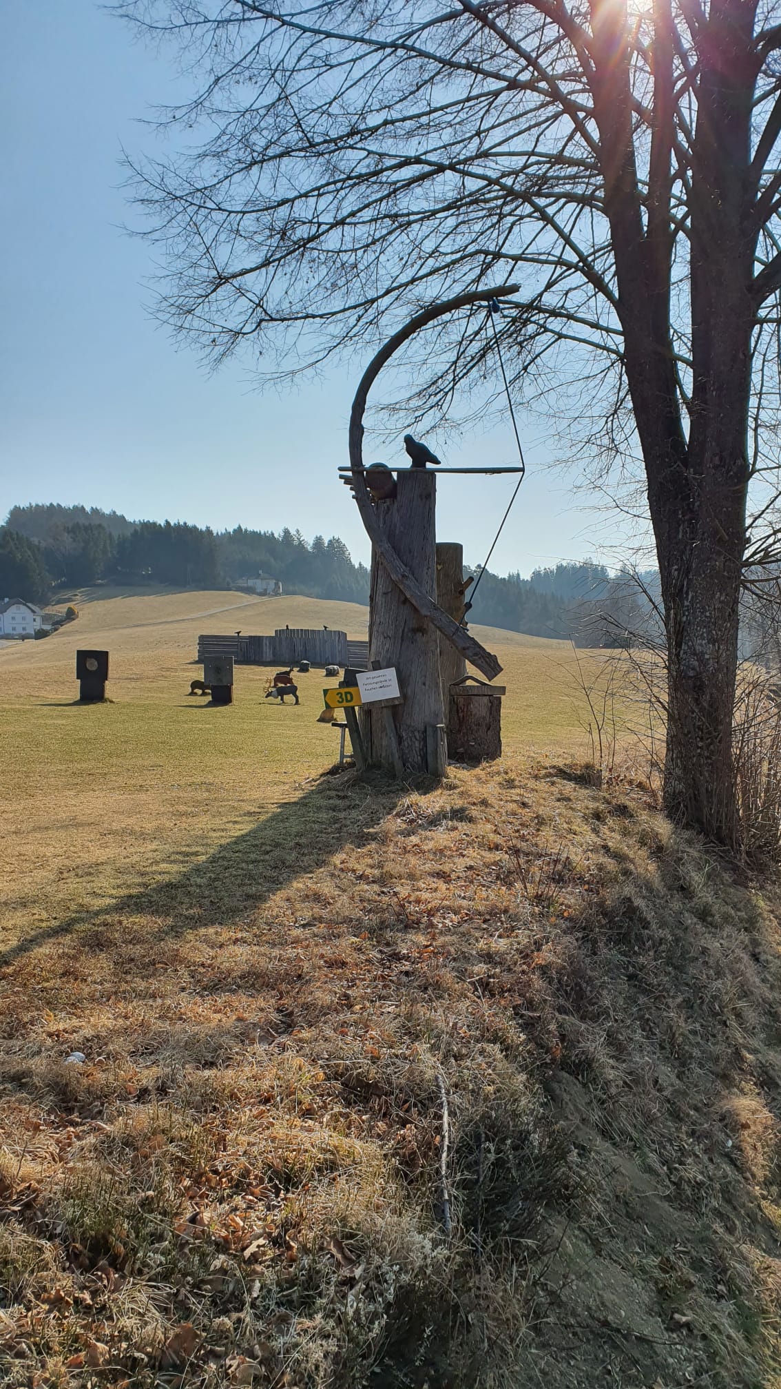 3D Parcour Bogensport - Schenkenfelden - Bogensport Waldviertel