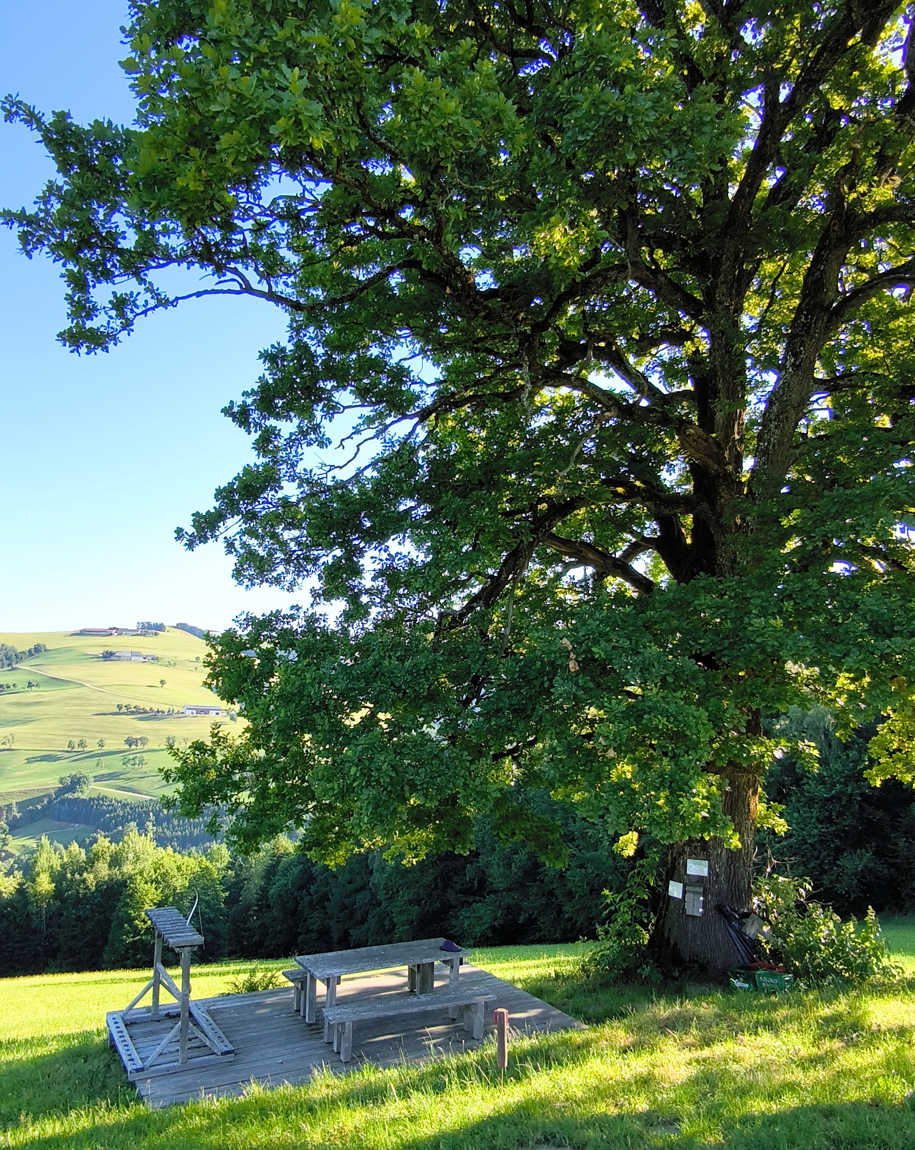 3D Parcour Bogenschießen: Tolle Labe im Schatten einer 200jährigen Eiche - Ramingtaler Bogenparcour / Bogenkino 