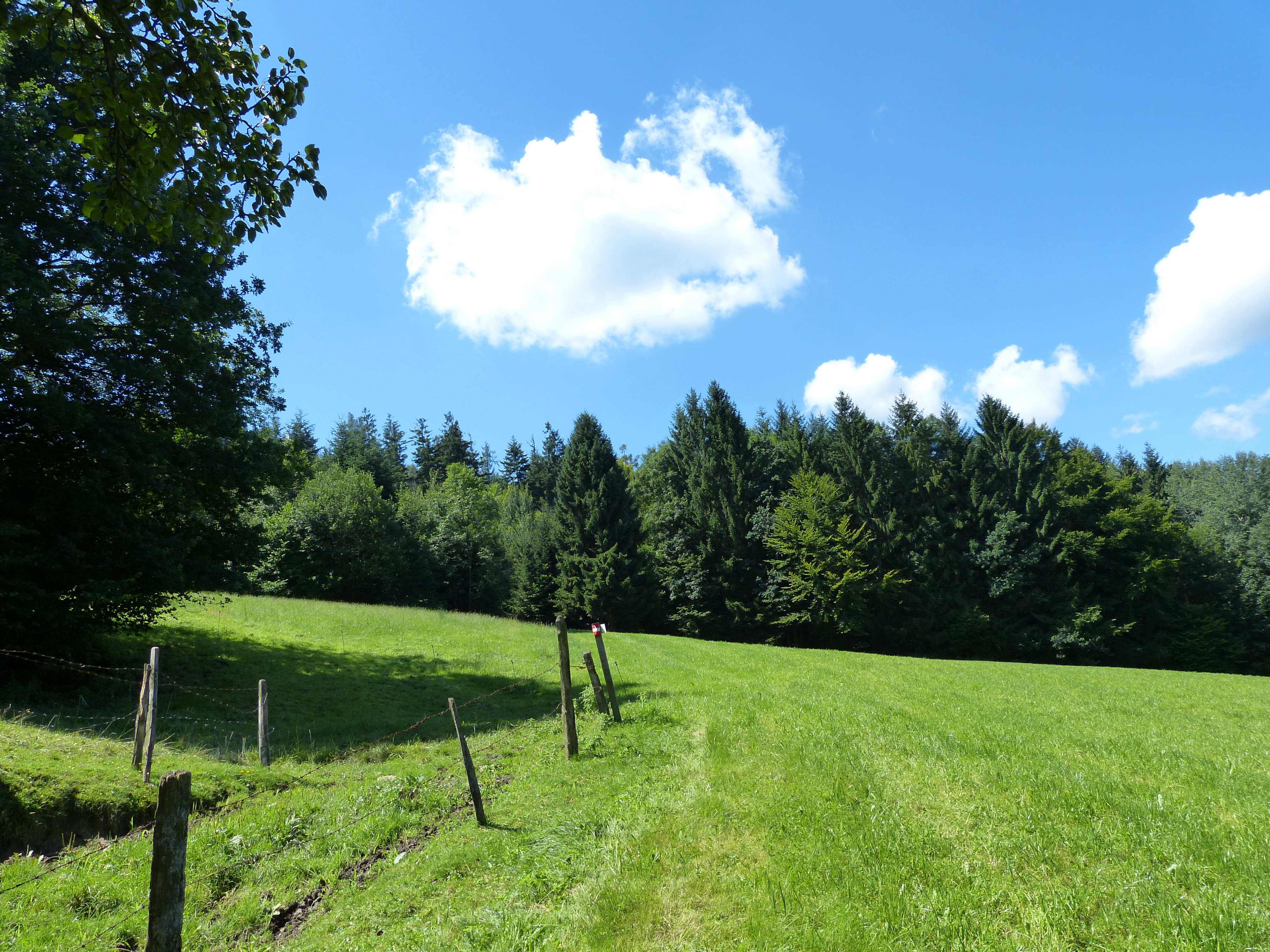 3D Parcour Bogensport - Bogenhalle - Ramingtaler Bogenparcour / Bogenkino 