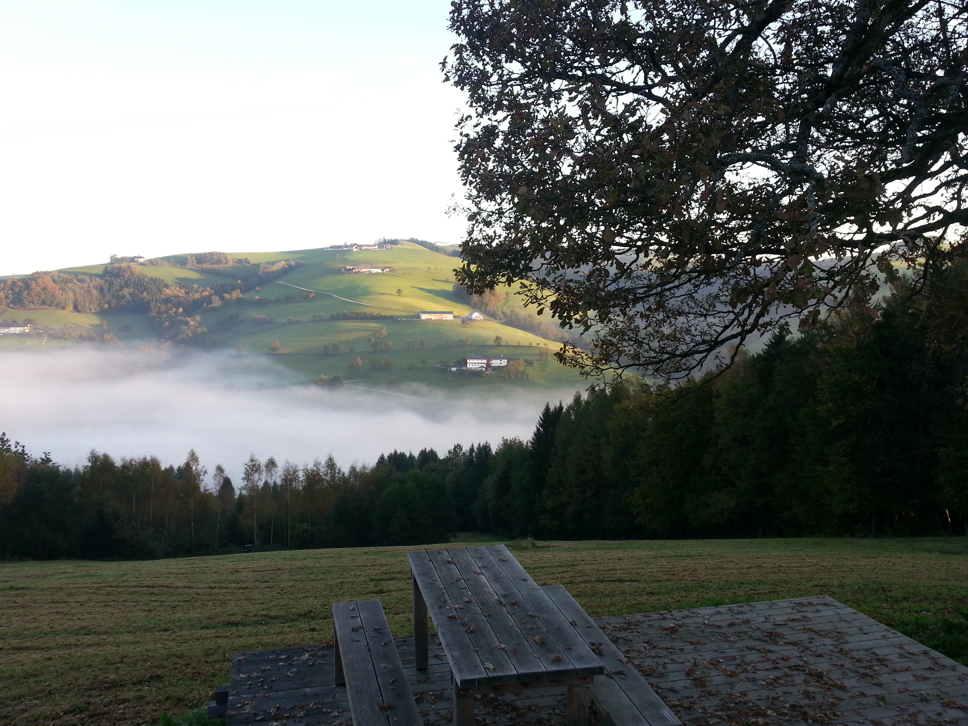 3D Parcour Bogensport - Bogenhalle - Ramingtaler Bogenparcour / Bogenkino 