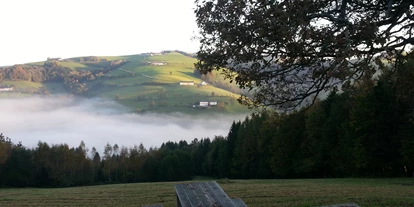 3D Parcour Bogensport - Marchtrenk - Ramingtaler Bogenparcour / Bogenkino