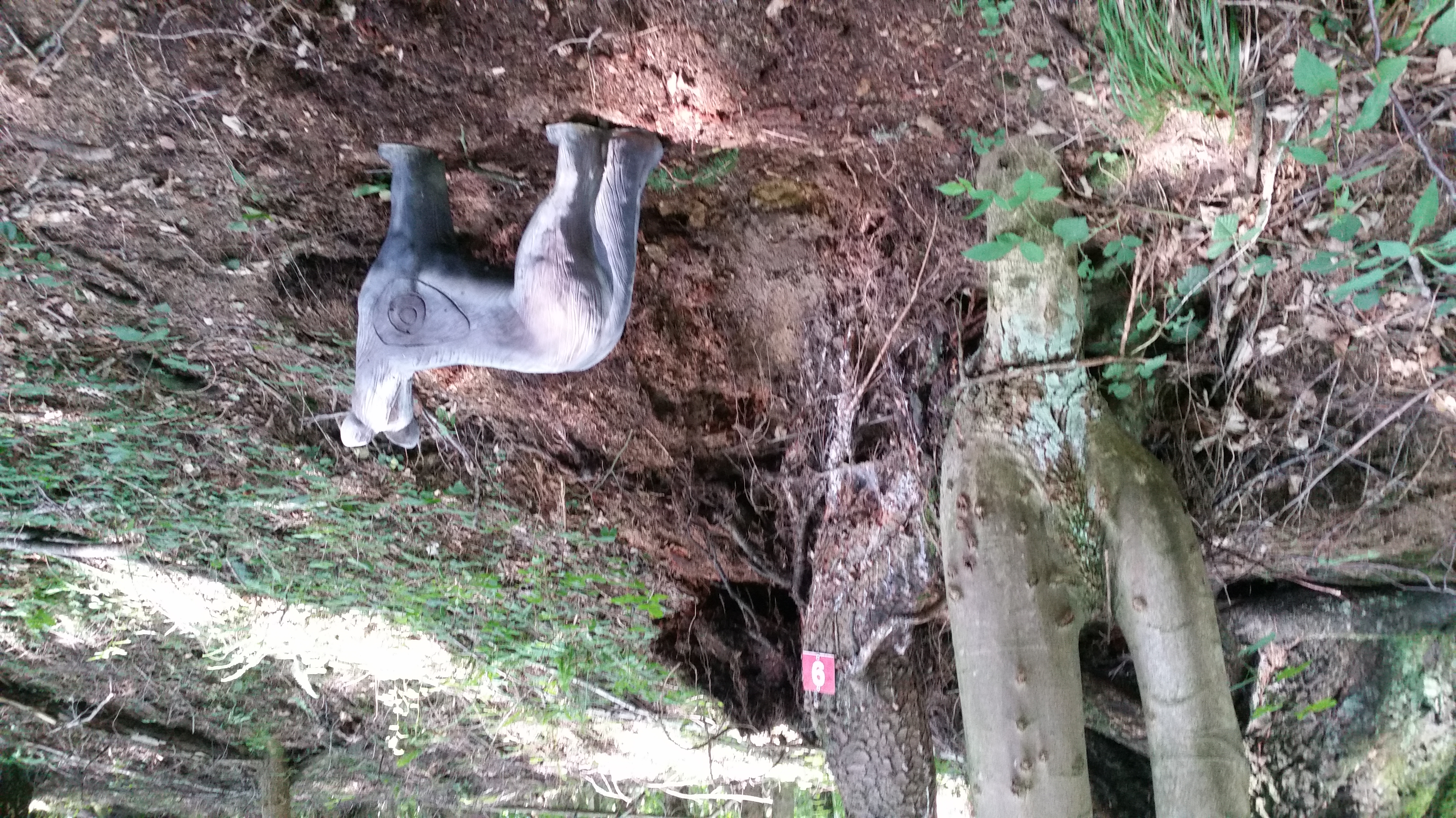 3D Parcour Bogenschießen: Ramingtaler Bogenparcour / Bogenkino 