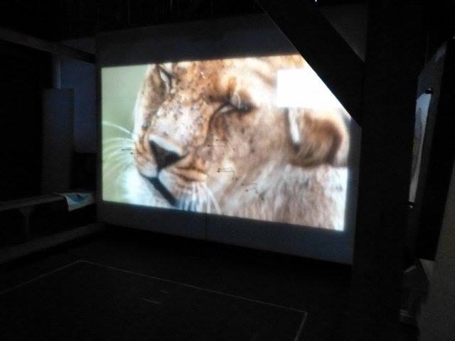 Ramingtaler Bogenparcour / Bogenkino  Different courses Arch cinema