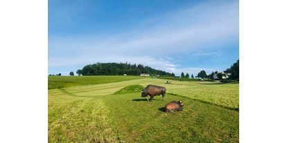 3D Parcour Bogensport - Marchtrenk - Bogensport Schicklberg - Conny Sklarski
