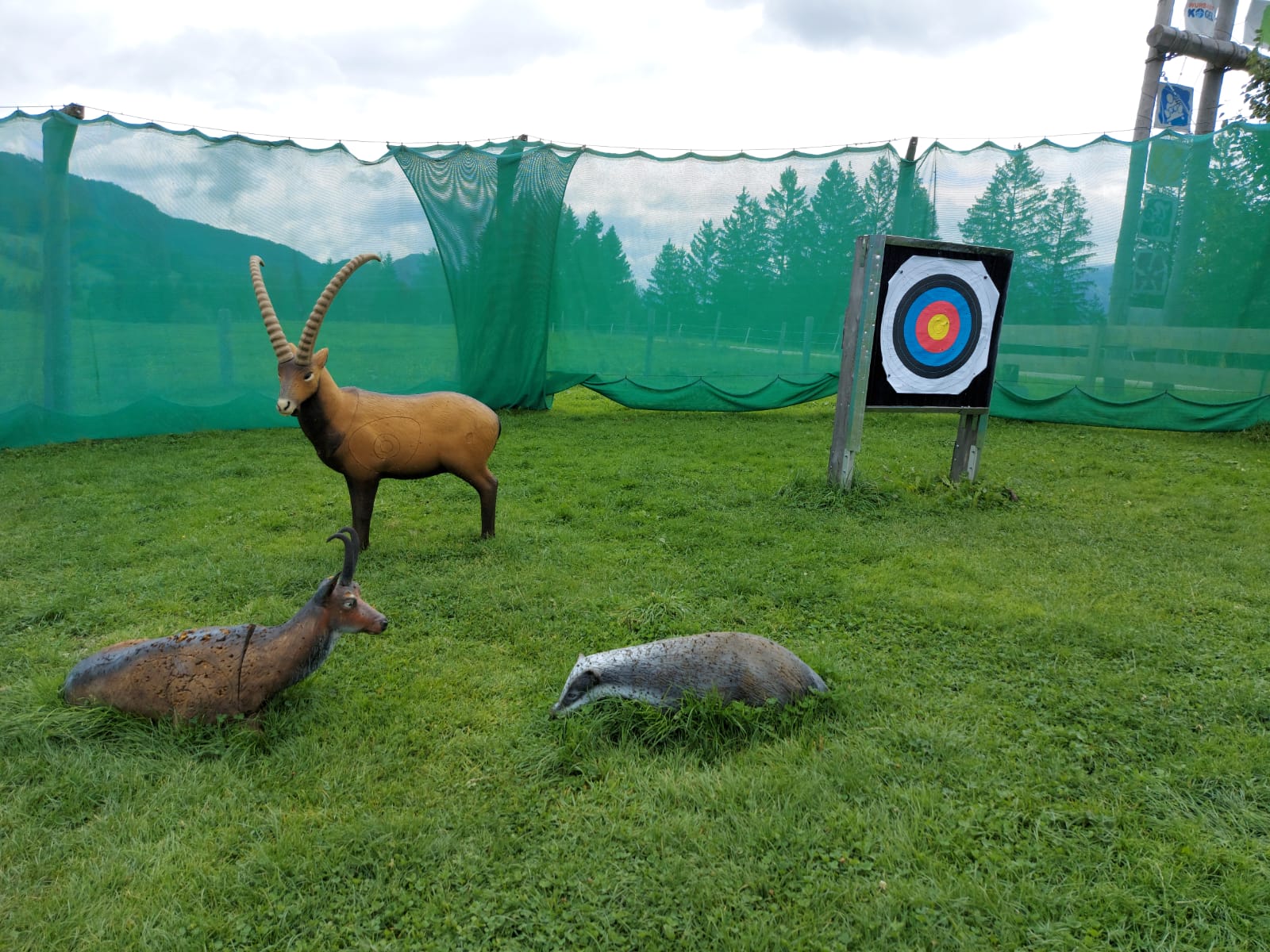 3D archery course - Upper Austria - Bogenparcours Wurbauerkogel