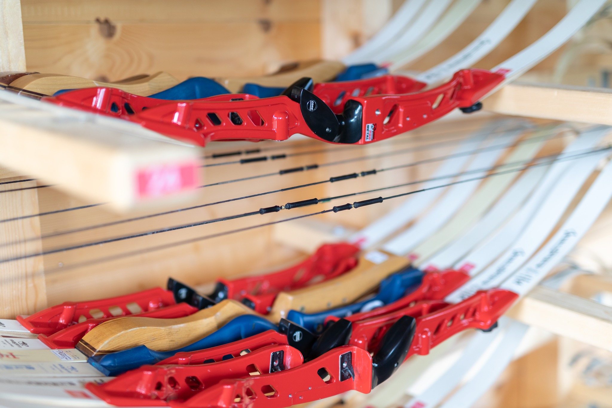 3D archery course - Upper Austria - Bogenparcours Wurbauerkogel