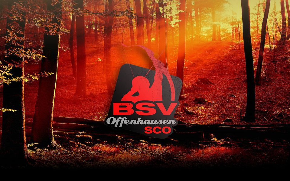 3D Parcour Bogensport - Vorau (Neukirchen am Walde) - BSV Offenhausen