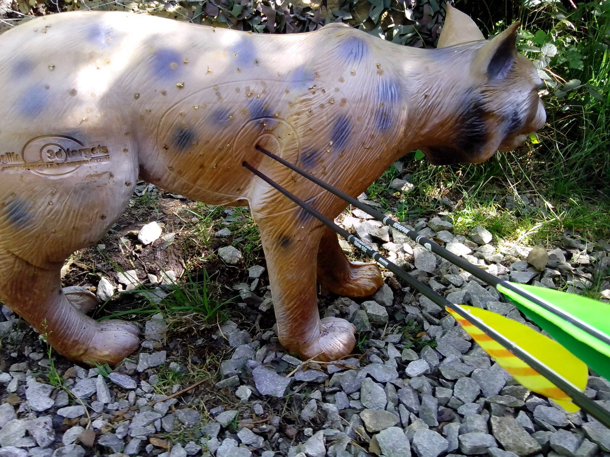 3D archery course - Upper Austria - UBSV Schardenberg