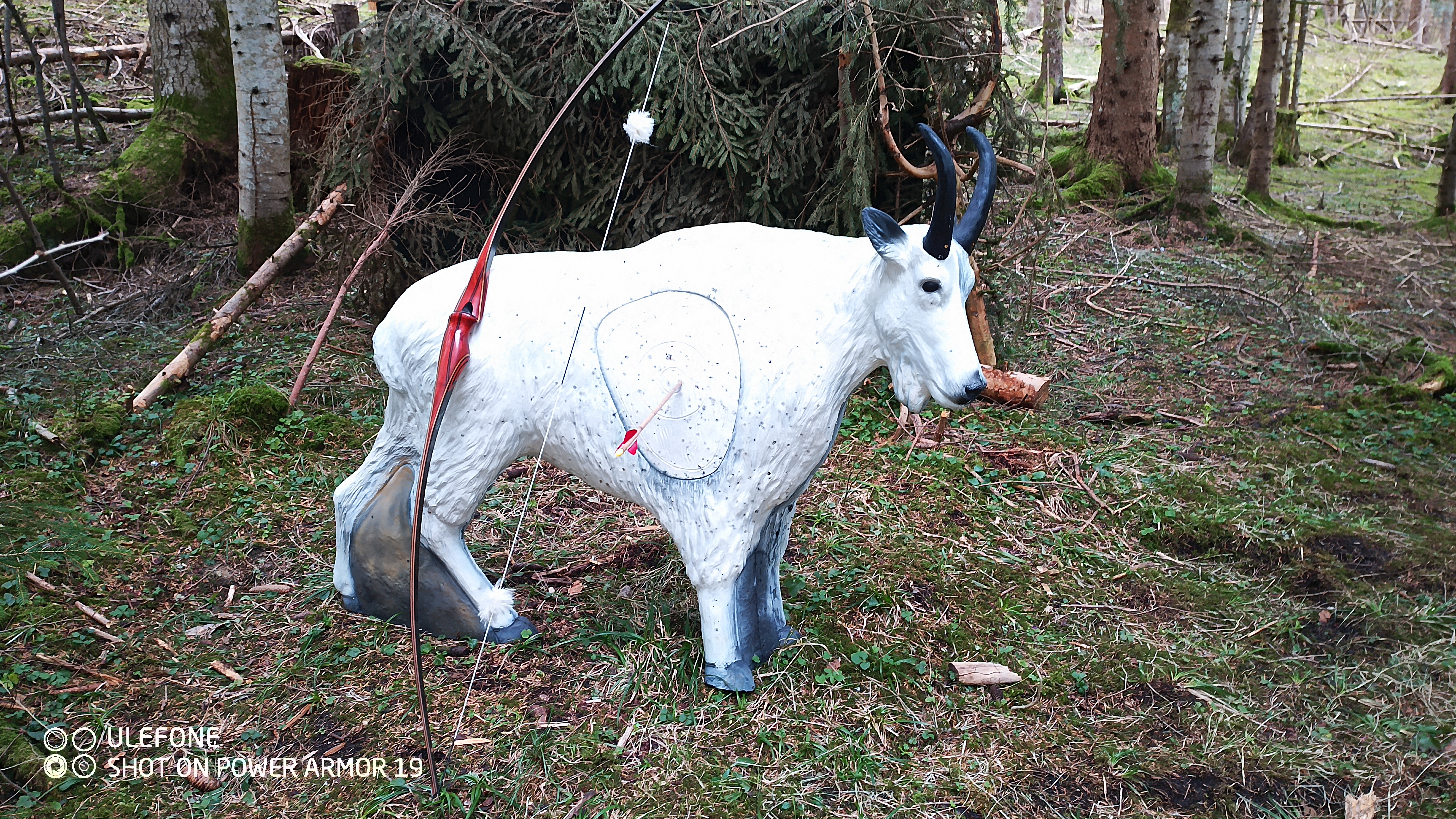 3D Parcour Bogenschießen: Herrlich in die Landschaft gestellte Ziele  - Halleralm - Bad Goisern - Salzkammergut Bogensport Club