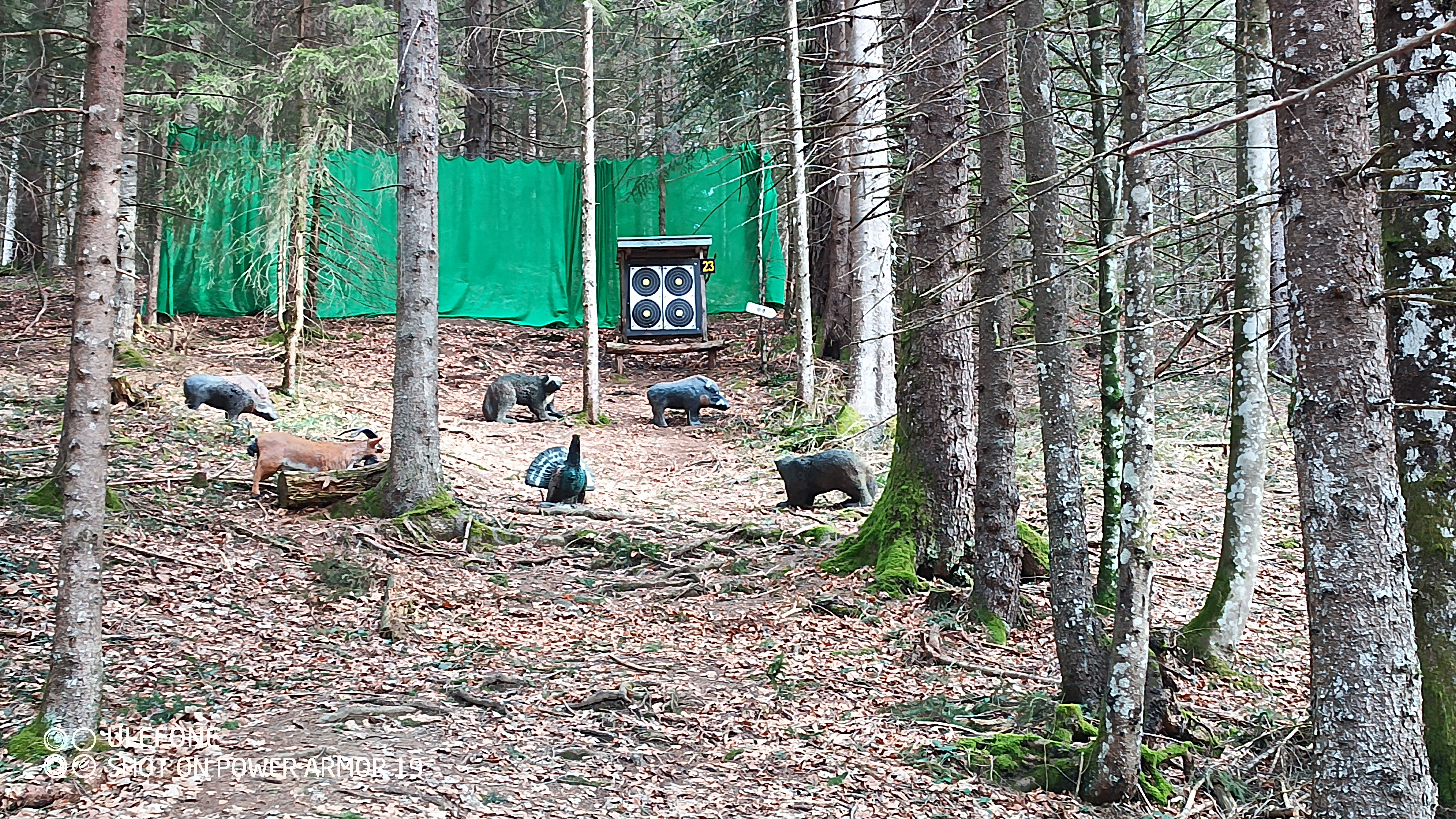 3D Parcour Bogenschießen: Super Einschussplatz - Halleralm - Bad Goisern - Salzkammergut Bogensport Club