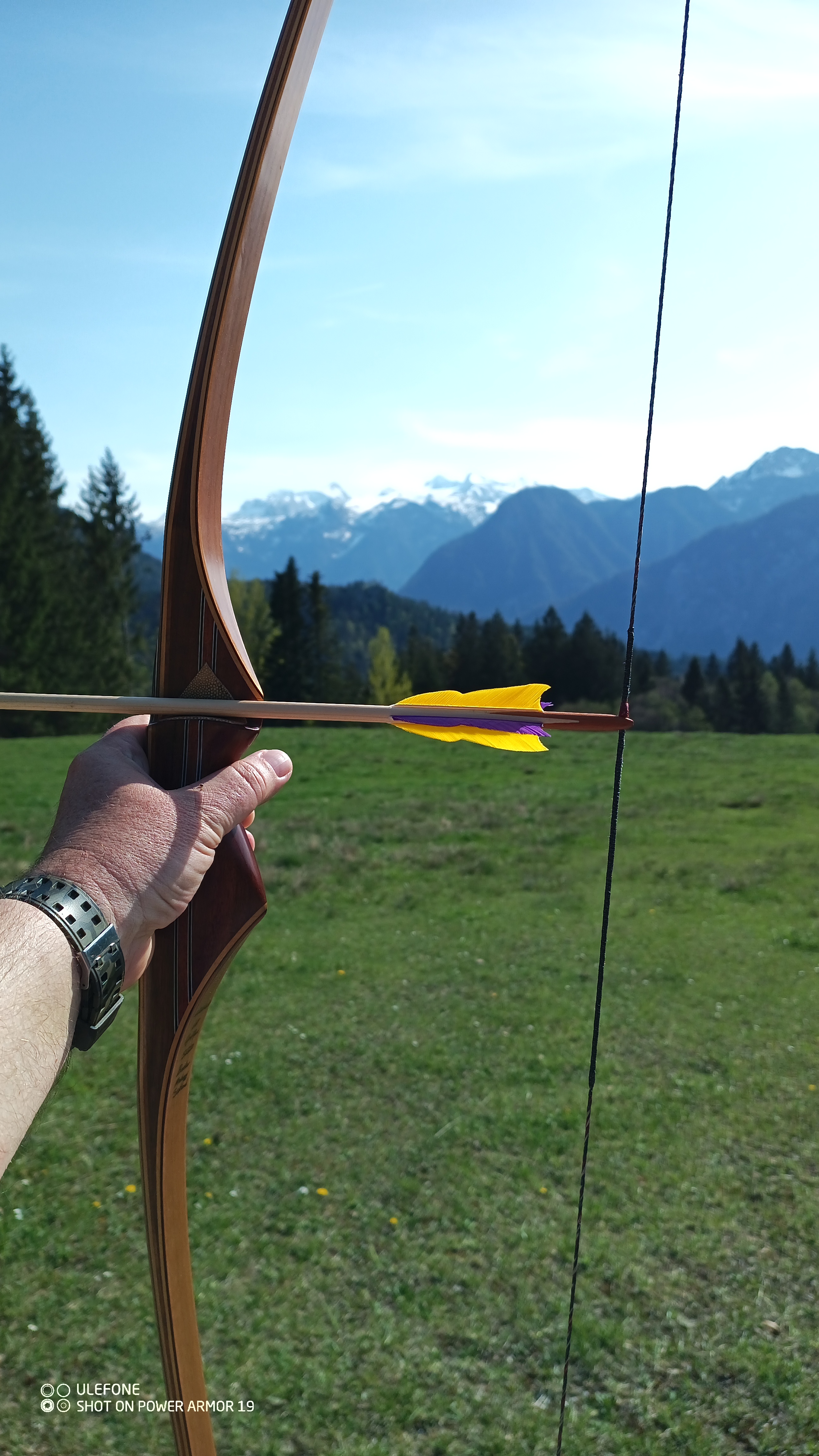 3D Parcour Bogenschießen: Herrliches Bergpanorama - Halleralm - Bad Goisern - Salzkammergut Bogensport Club