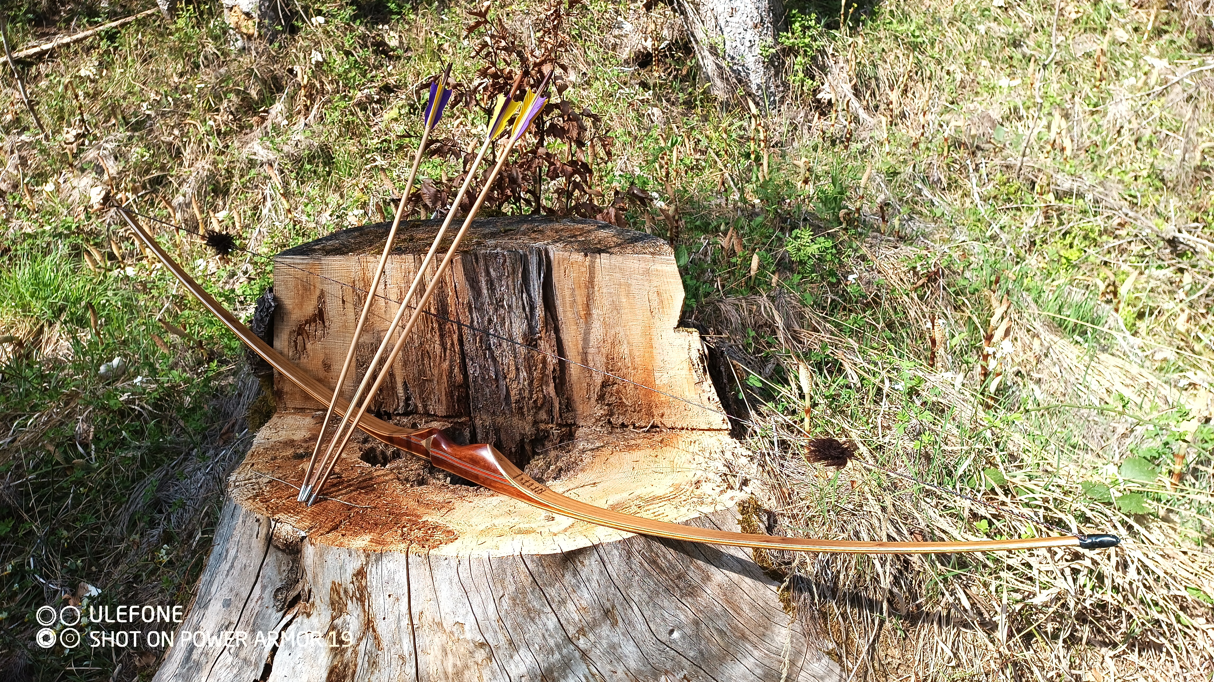 3D Parcour Bogenschießen: Hier entsteht eine Labstation - Halleralm - Bad Goisern - Salzkammergut Bogensport Club