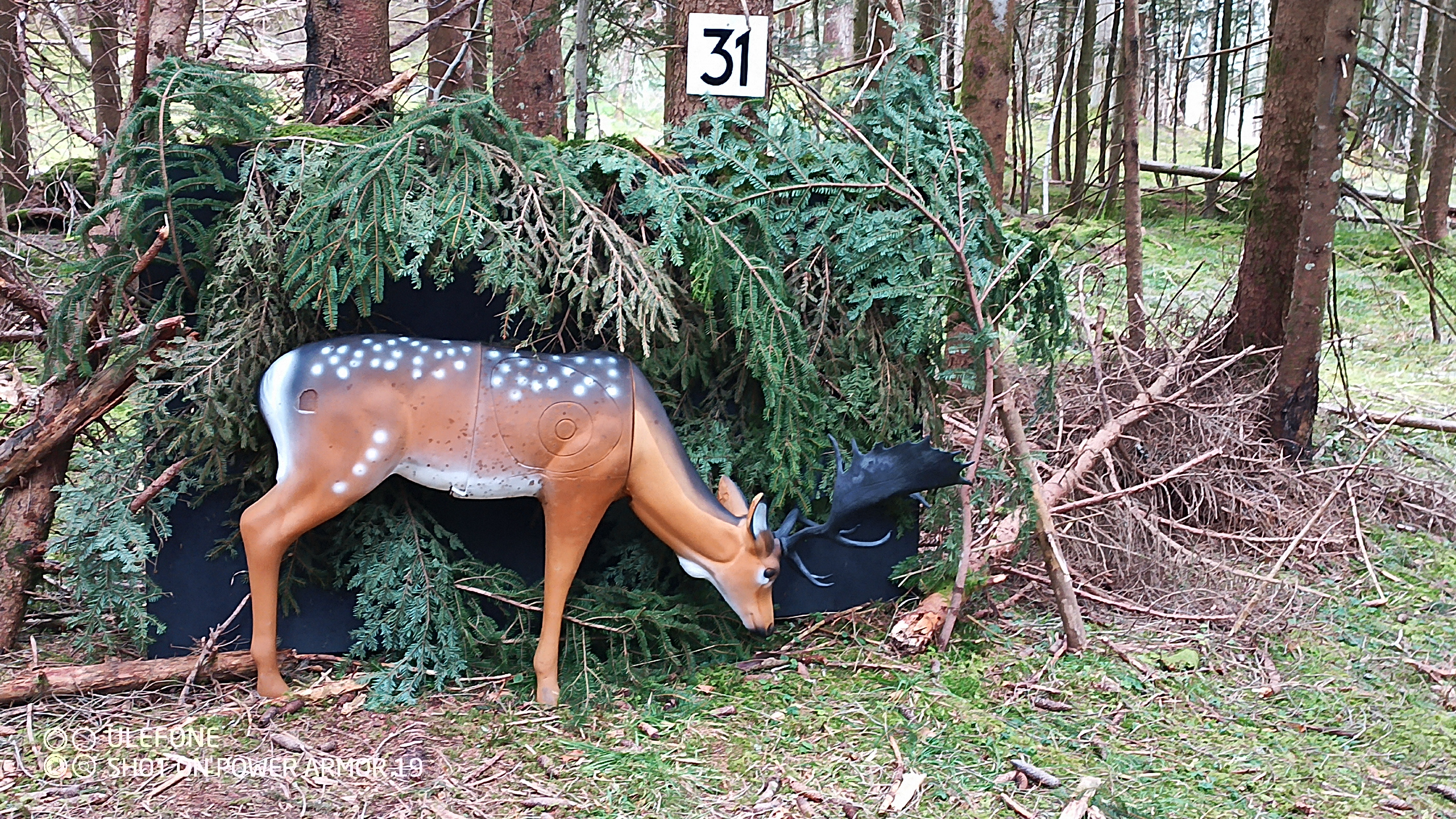 3D Parcour Bogenschießen: Top Ziele in bestem Zustand  - Halleralm - Bad Goisern - Salzkammergut Bogensport Club