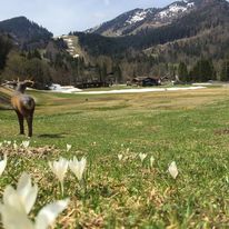 3D Parcour Bogensport - Mühlbach am Hochkönig - Heutal Wilderer 3D Park