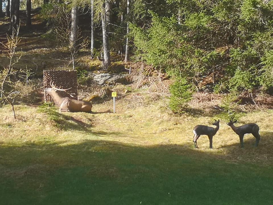 3D Parcour Bogensport - BS Lungau Parcours