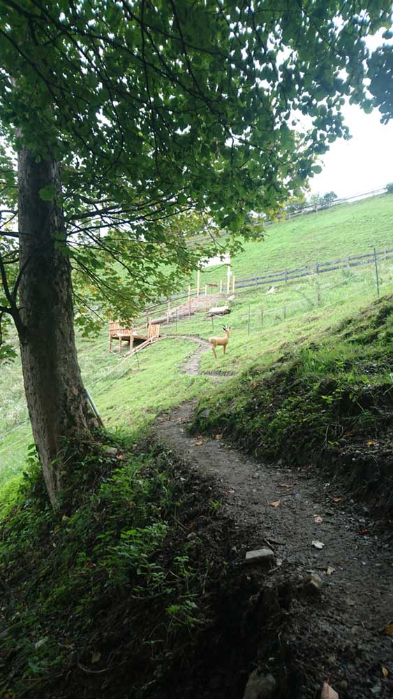 3D Parcour Bogensport - Filzmoos (Filzmoos) - Bogen Jagd Alpendorf