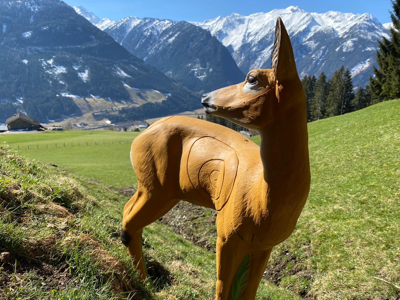 3D Parcour Bogensport - Pinzgau - Panorama Bogensport