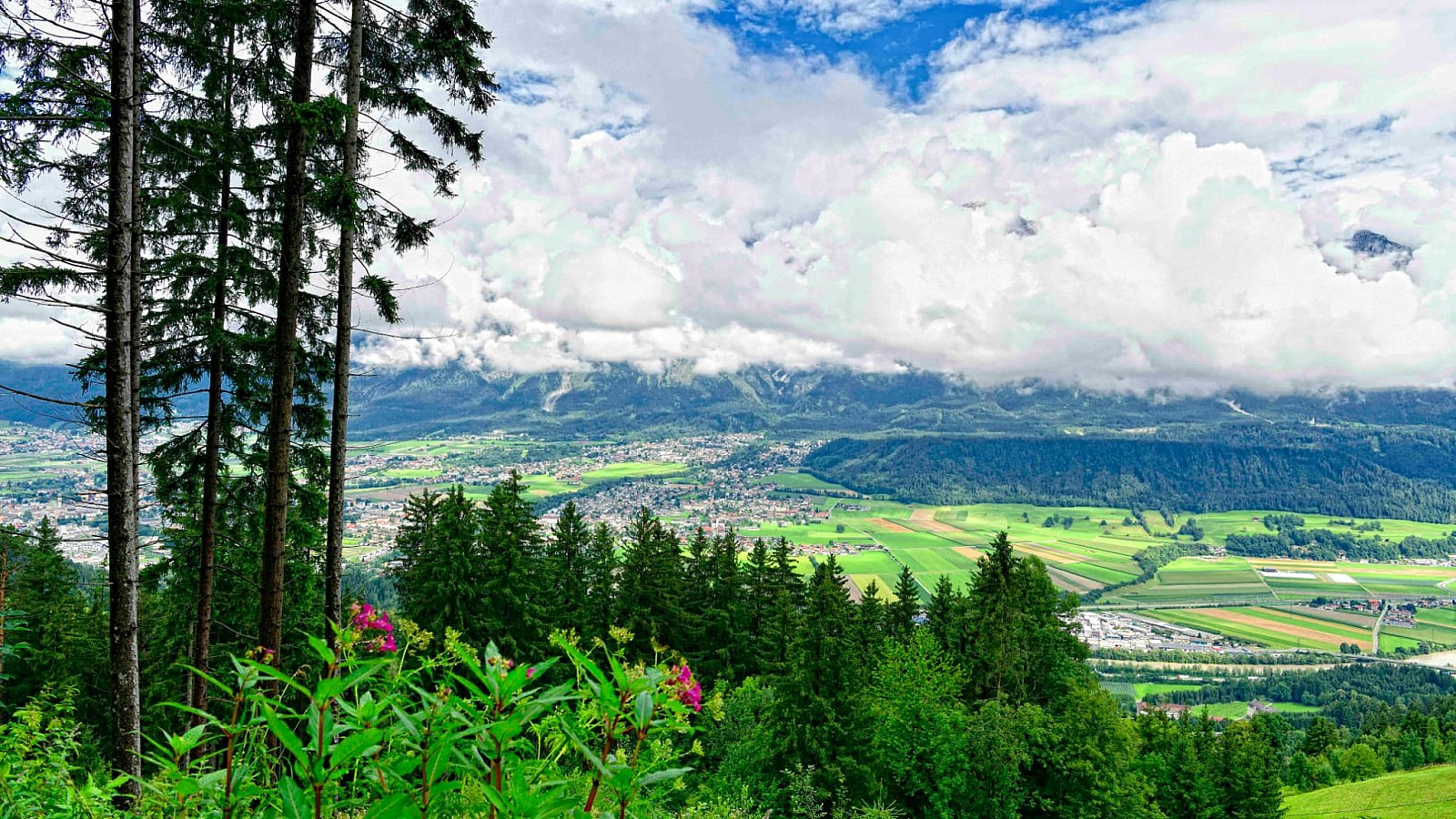 3D archery course - Ehrwald - 3D BogenparcoursTulfes