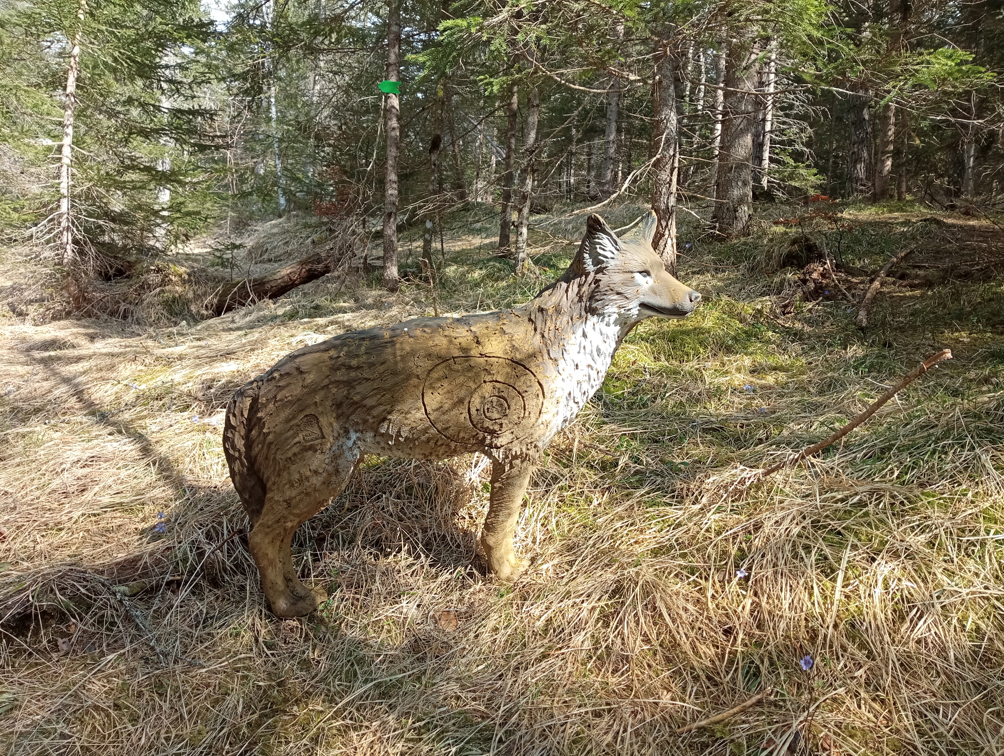 3D Parcour Bogensport - Bogenfreunde Leutasch
