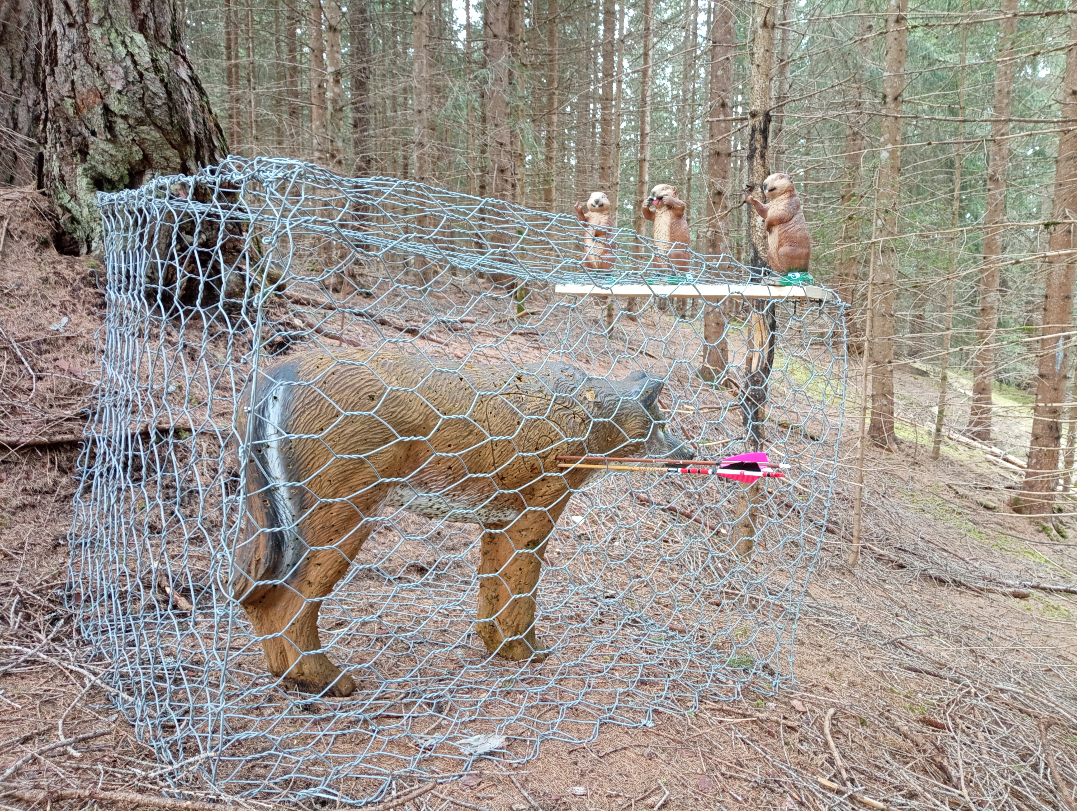 3D Parcour Bogenschießen: Bogenfreunde Leutasch