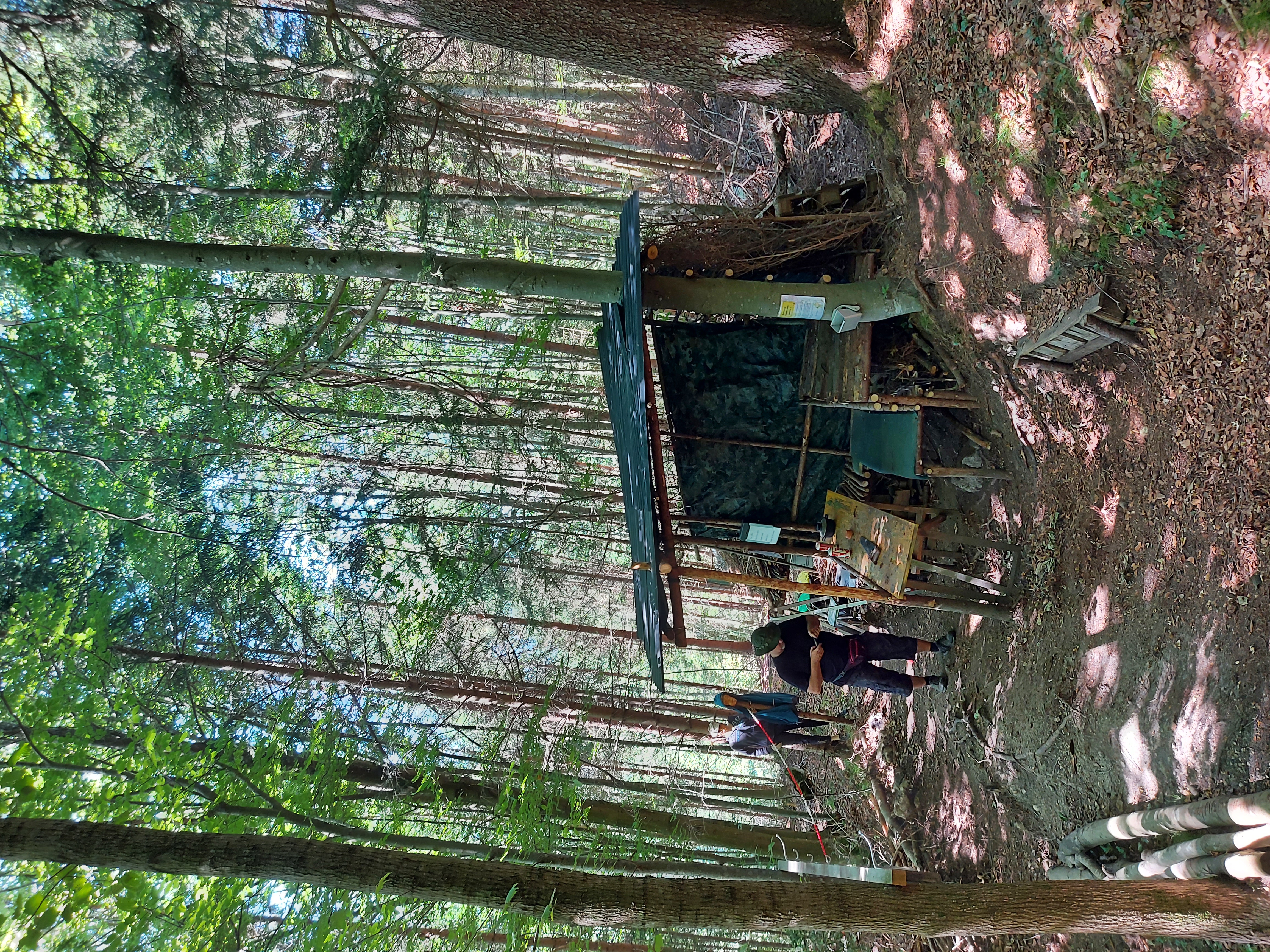 3D Parcour Bogenschießen: Labe auf dem Parcours  - 3D Bogenparcours Stadlerhof