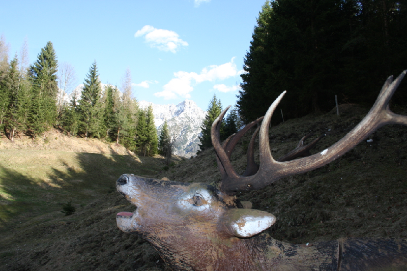 3D Parcour Bogensport - Mühlbach am Hochkönig - B.O.W.- BOGENPARCOURS OBERWEISSBACH WAIDRING