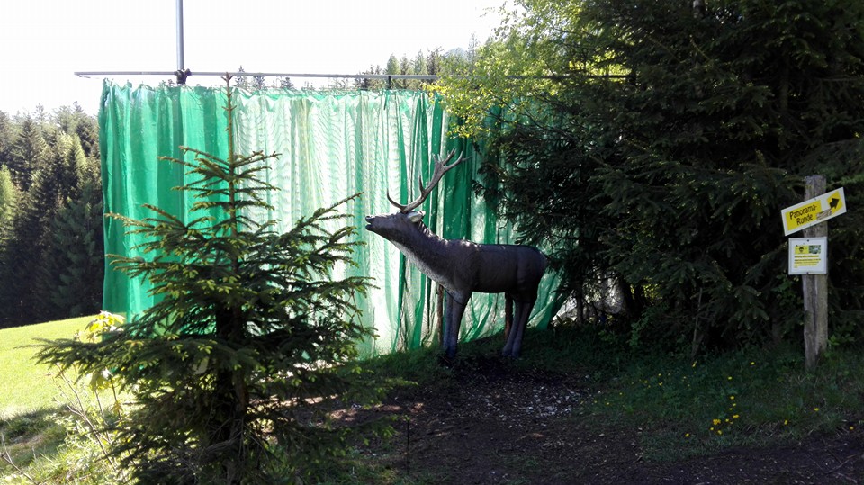 3D Parcour Bogensport - Mühlbach am Hochkönig - B.O.W.- BOGENPARCOURS OBERWEISSBACH WAIDRING