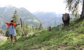 3D archery course - Ehrwald - 3D Bogenparcours Madatschen