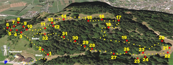 3D archery course - Grünkraut - FAC Götzis - 3D Parcours Spallen
