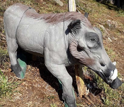 3D archery course - Grünkraut - FAC Götzis - 3D Parcours Spallen