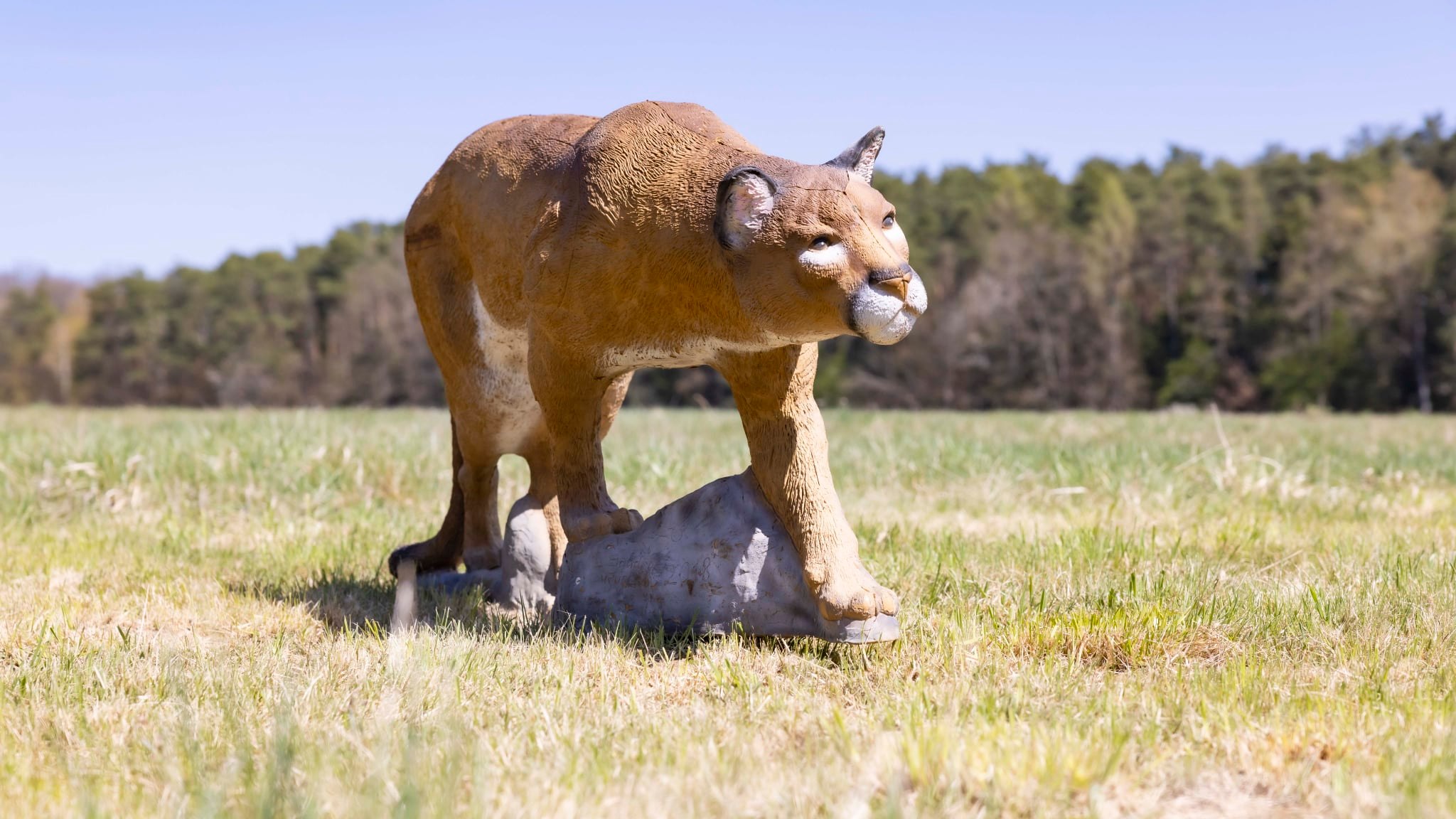 3D Parcour Bogenschießen: Krumphof