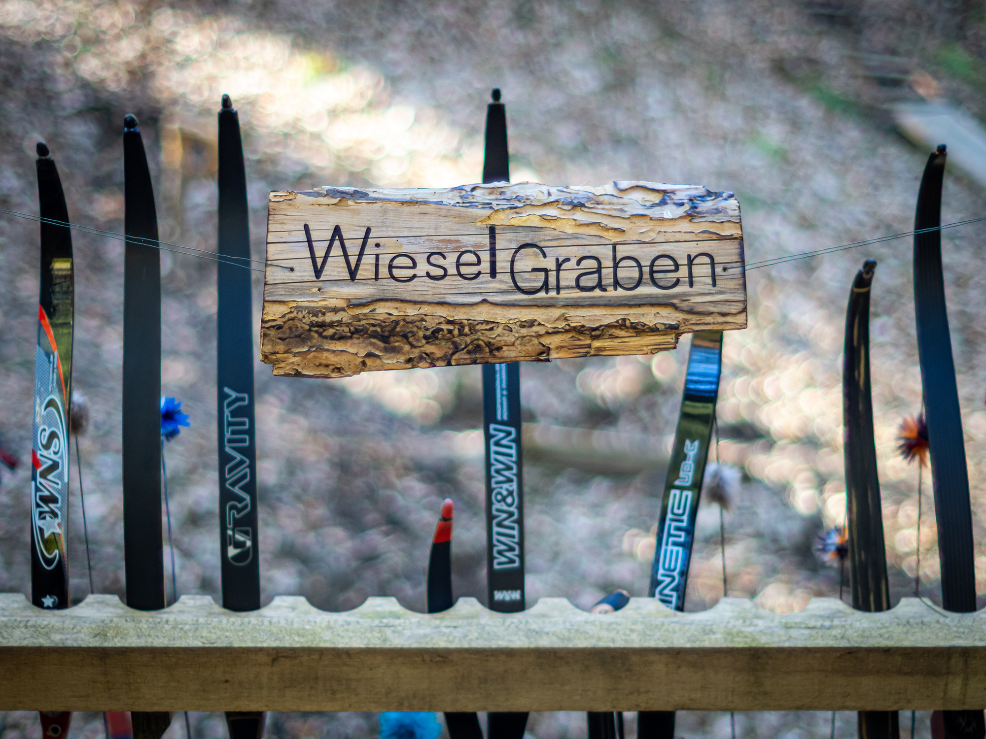 3D Parcour Bogenschießen: BSC Rothberg - Wieselgraben