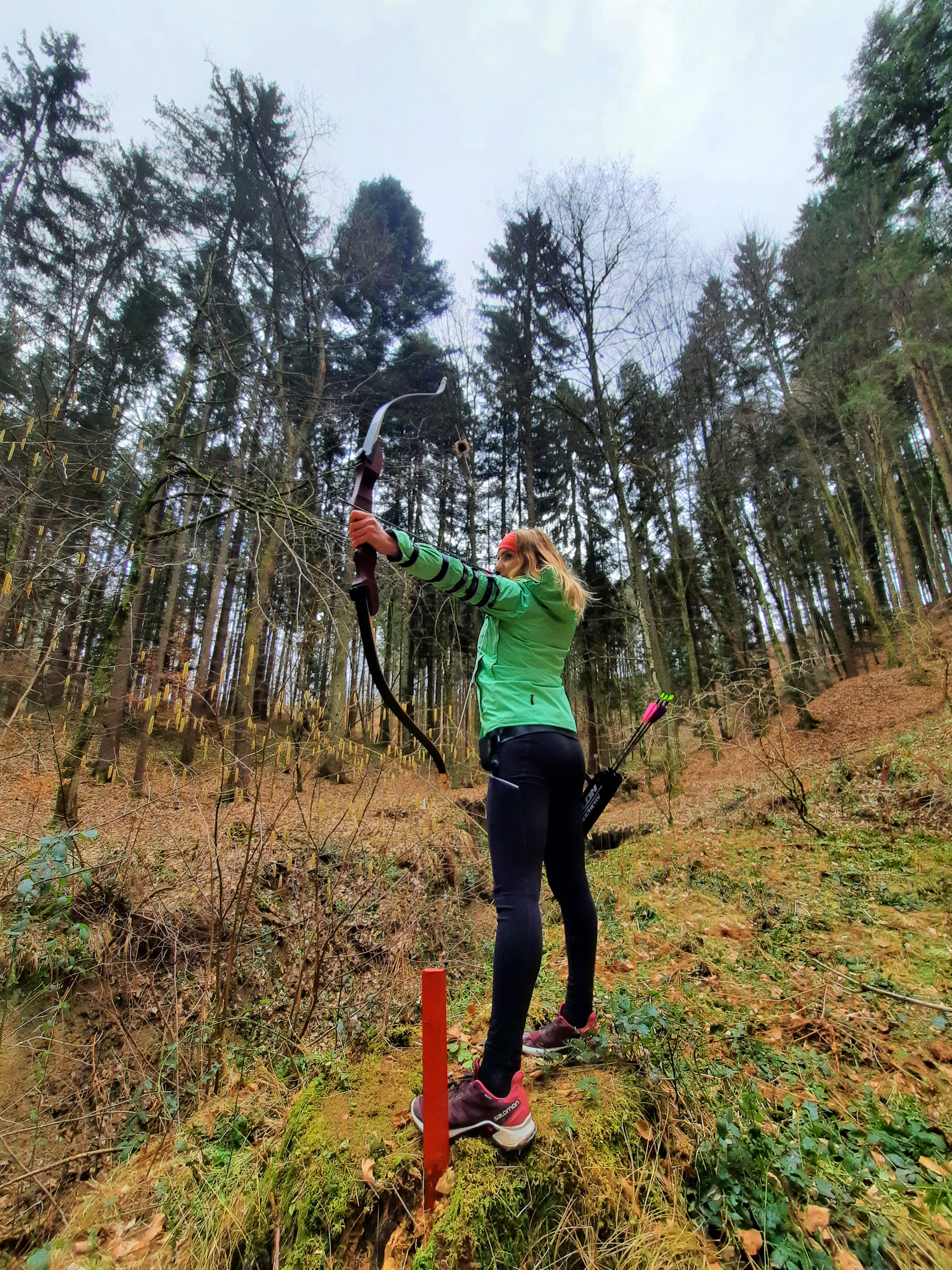 3D Parcour Bogenschießen: Im Wieselgraben - BSC Rothberg - Wieselgraben